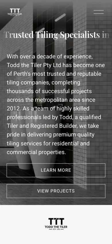Todd The Tiler mobile homepage in our 390 by 844 capture